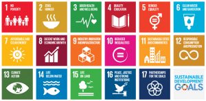 teaching sustainable development goals